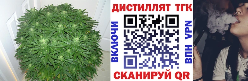 Купить  Гурьевск  ТГК гашишное масло 