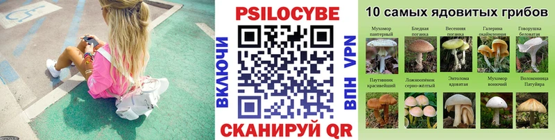 Галлюциногенные грибы GOLDEN TEACHER  Купить  Гурьевск 
